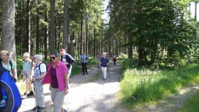 Wanderung P06 Triberg 2022