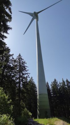 Wanderung P06 Triberg 2022
