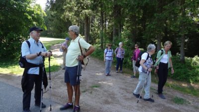Rückblick Wanderung P6 am 6. Juni 2022: Schonach – Schönwald - Triberg