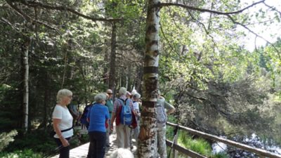 Rückblick Wanderung P6 am 6. Juni 2022: Schonach – Schönwald - Triberg