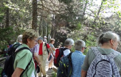  Rückblick Wanderung P6 am 6. Juni 2022: Schonach – Schönwald - Triberg