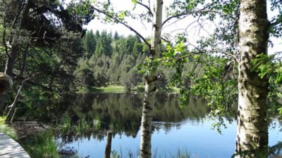 Rückblick Wanderung P6 am 6. Juni 2022: Schonach – Schönwald - Triberg