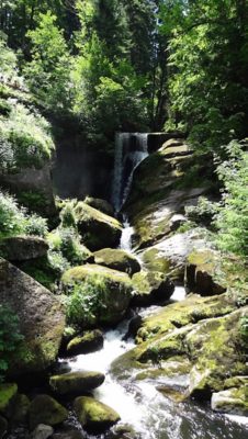 Rückblick Wanderung P6 am 6. Juni 2022: Schonach – Schönwald - Triberg