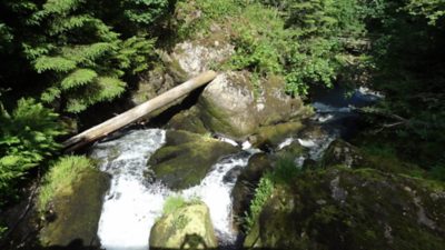 Rückblick Wanderung P6 am 6. Juni 2022: Schonach – Schönwald - Triberg