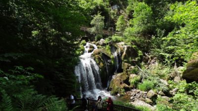 Rückblick Wanderung P6 am 6. Juni 2022: Schonach – Schönwald - Triberg