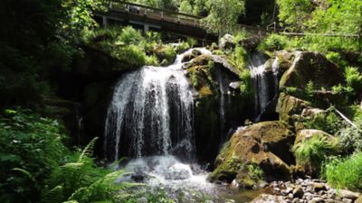 Rückblick Wanderung P6 am 6. Juni 2022: Schonach – Schönwald - Triberg