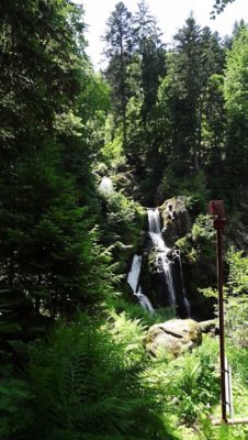 Rückblick Wanderung P6 am 6. Juni 2022: Schonach – Schönwald - Triberg